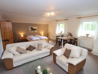 Apartment in Kirchdorf with Swimming Pool - Kirchdorf - 9
