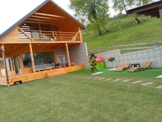 Cabana de sub mesteceni - Mătişeşti - 4