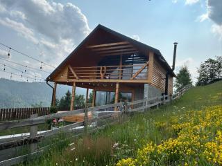 Cabana de sub mesteceni - Mătişeşti - 0