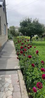 Guest House Chkalovka Garden - Sevan - 7