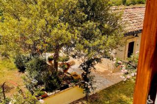 La Fattoria di Maria Donata - Cugnoli - 8