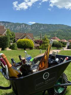 ANCA RESORT & SPA - Transilvania - Sălciua de Jos - 1