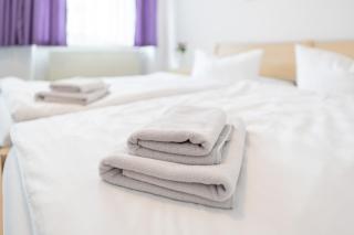 Hotel Bavaria - Döbeln - 4