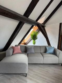 Helles Loft mit Charme & Balken - Villingen-Schwenningen - 8