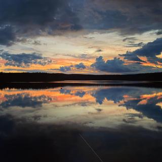 Stora älg -Ferienhaus am Älgsjön - Arvika - 0