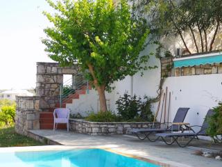 The Iconpainter Zaga Villa - 1