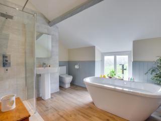 2 Bed in Llanfairtalhaiarn 88974 - 4