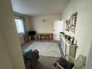 Apartment in Victoria SW1, spacious Thames riverside one bedroom flat - London - 2