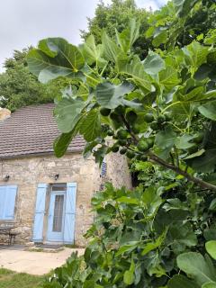 La Maison bleue Paissy - Paissy - 3