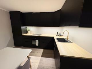 Large downtown apartment - Kristiansand - 2