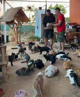 Quiet Nature Stay with Pets - 2