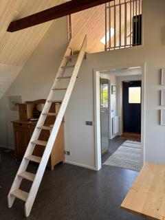 Carlssons på Vik - Simrishamn - 3