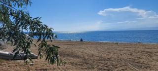 Kalemi Pansiyon - Isola di Marmara - 8