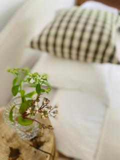 B&B de Wisperhof - Wezup - 2