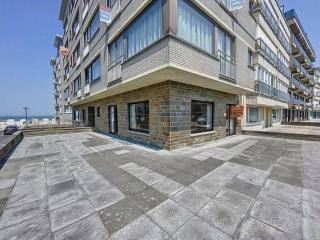 Appartement met zeezicht - Koksijde - 1