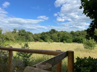 Iris Cottage, Halesworth Suffolk IP19 - Wenhaston - 9