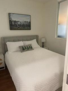 downtown vancouver independent affordable suit 1 - Vancouver - 3