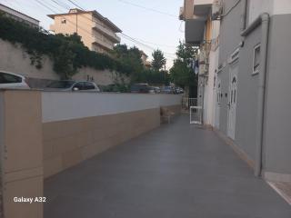 Ulliri - Tirana - 6