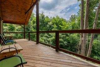 Bear Cage By Avada Properties - Gatlinburg - 7