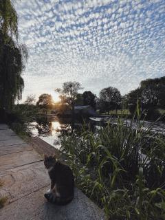 Artist's Riverside Home - Shipley - 9