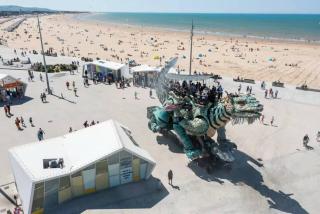 Douceur d'Opale, cosy à 200m de la plage - Sangatte - 8