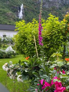Flåm Tinyhouse with a Waterfall View - Flåm - 9