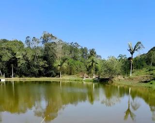 Casas de Campo Bem-Te-Vi & Beija-Flor, Mata Atlântica, Juquitiba,SP - Juquitiba - 5