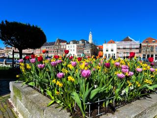 B&B De Amsterdamse Poort - Haarlem - 5