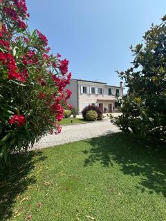 Rustico del Chiasso - Villa With Private pool near Lucca - 3