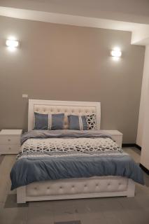 Kidist 5BR Duplex Apartment - Addis Ababa - 8