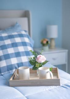 Scenic Mountain retreat - Country side - 1 Acre - 8