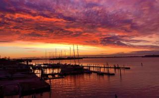 Venezia, Ca' Mimosa - 4