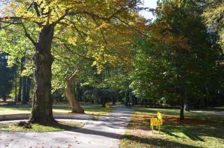Mliečna víla - Turčianske Teplice - 4