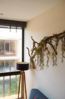 GREAT location, pool and gym - Tulum - 6