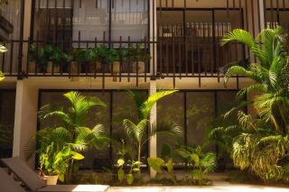 PH with private pool, Total relaxation in Tulum - Tulum - 8