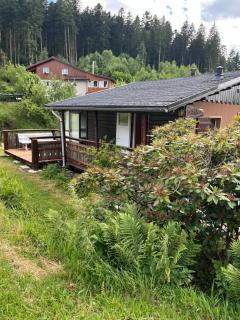 les biches du saut des cuves - 5