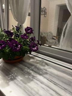 MARIALENA HOMe - - 0