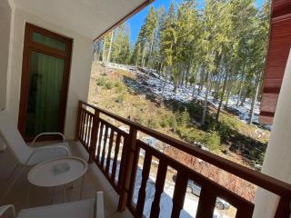 Апартамент Борчето Forest Glade- Pamporovo - Pamporovo - 3