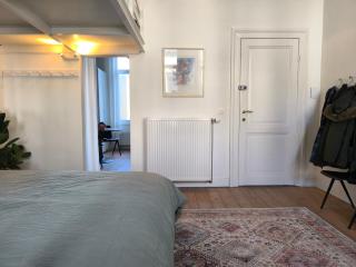 Lovely City Centre Duplex - Antwerp - 3