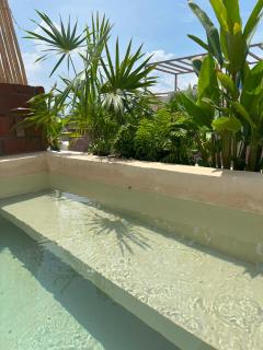 Casa Xaviera - 6