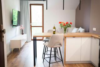 Willa Matejki - Apartament 8a - Przemyśl - 4