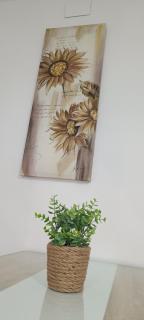 Apartamento Prieta - 5