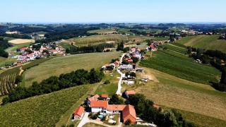 Apartma Martin - Miklavž pri Ormožu - 3