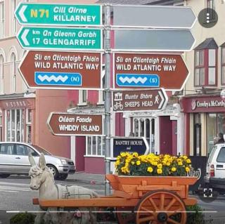 PENTHOUSE APARTMENT Cork - 5