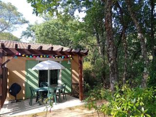 Mazet provençal climatisé 5 pers jardin et parking - Gaujac - 0