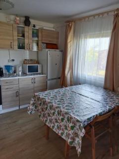 Domek nad Wkrą, okolice Sochocina, kajaki - - 5