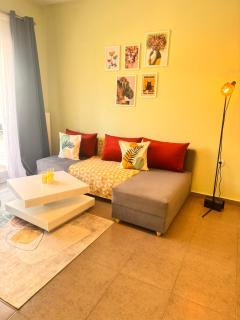 Greywood Nest - Alexandroupolis - 9