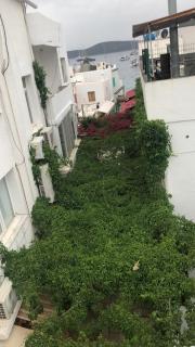 The Cranberries Hostel Bodrum - Bodrum - 5