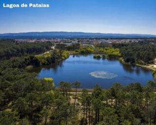 Casa Emília & Alda - Juncal - 8
