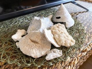 Flat piece chair house - Vacation STAY 10273v - 1